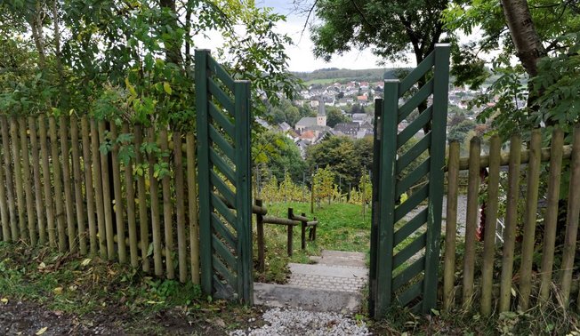 Weinberg in Neuenrade Weinberg in Neuenrade