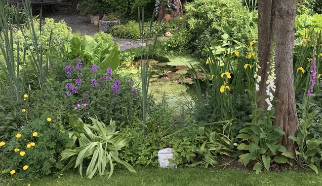 Wildgarten in Neuenrade