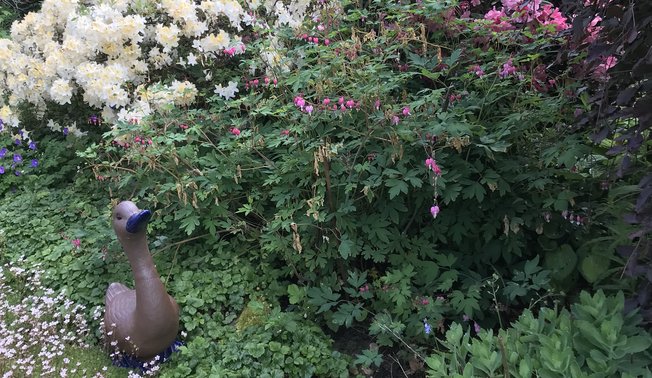 Garten der Biodiversität