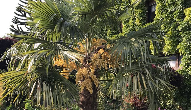 Wildgarten in Neuenrade Wildgarten in Neuenrade