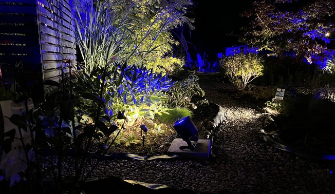 Rosen- und Staudengarten