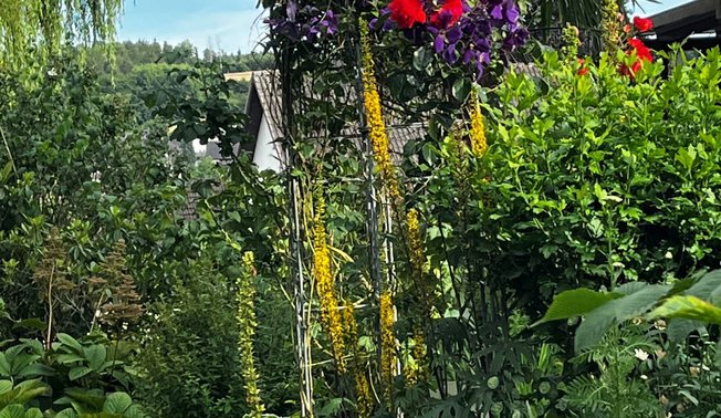 Wildgarten mit exotischen Pflanzen ©Roger Schriever