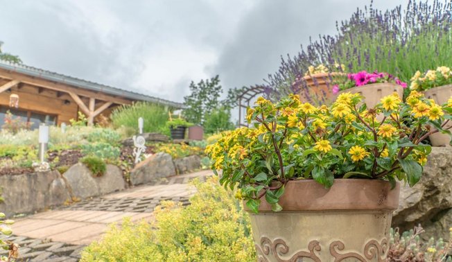 Naturgarten Breslauer Straße in Neuenrade Naturgarten Breslauer Straße in Neuenrade