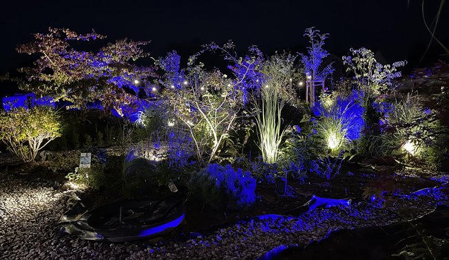 Rosen- und Staudengarten