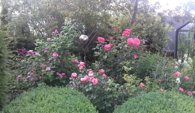 Kleines Gartenglück in Affeln Kleines Gartenglück in Affeln ©Rita Gierse